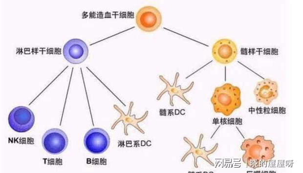 原位癌病人需要补硒吗