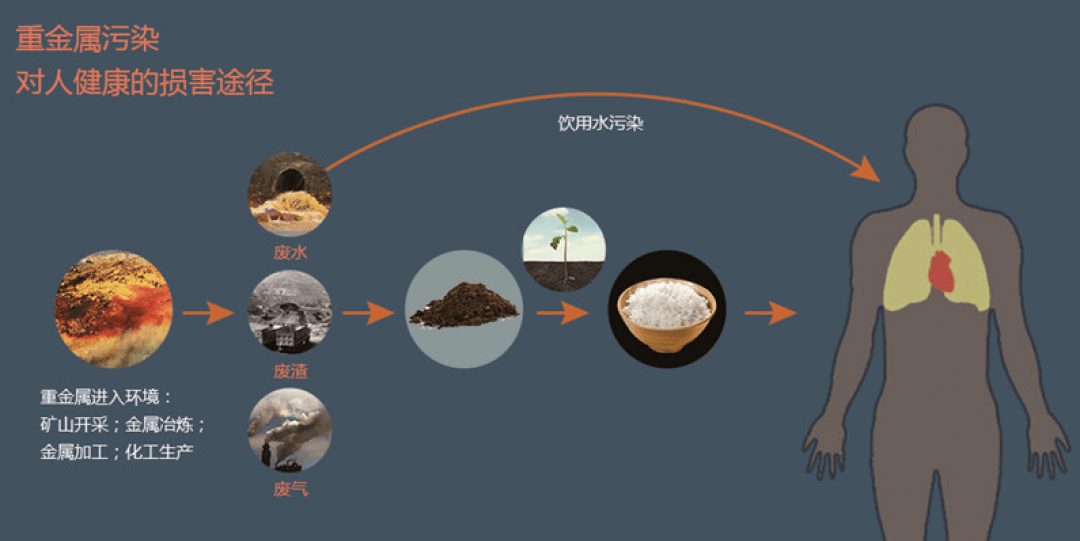 通过大量补硒肝病下降