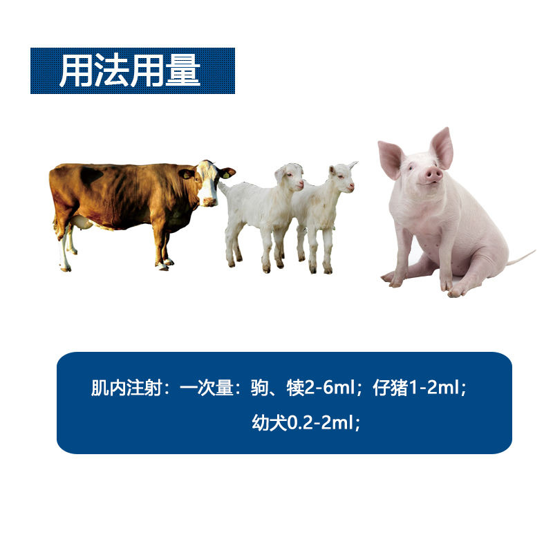 给仔猪什么时间补硒好