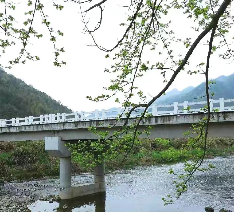什么茶可以降血压补硒