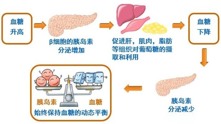 血糖高补硒身上会痒吗