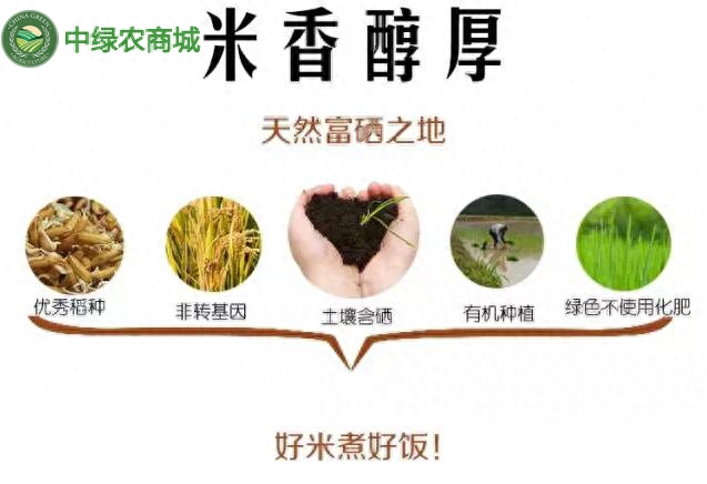 补硒的十大好处是什么