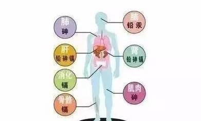 补硒是不是甲基硒最好