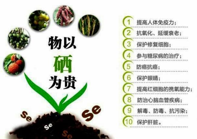 硒的作用和补硒的食补