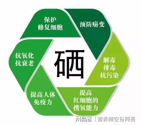 硒的作用和补硒的食补