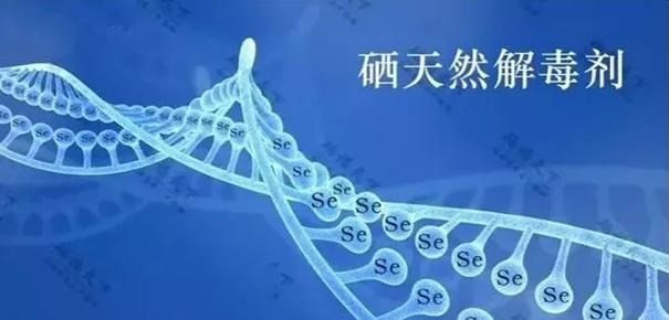 微量元素硒怎样补硒的