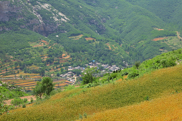 缺硒土壤