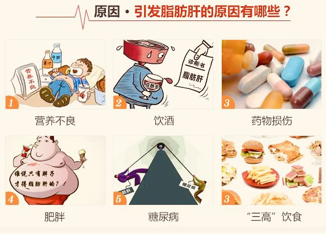 脂肪肝能否补硒元素硒