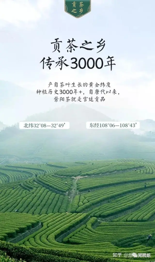 全民补硒工程2008