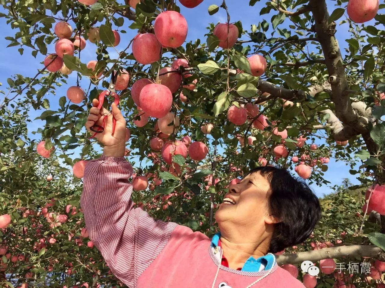 减肥补硒好还是补钠好