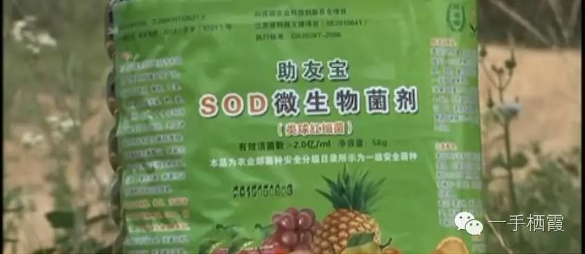 减肥补硒好还是补钠好