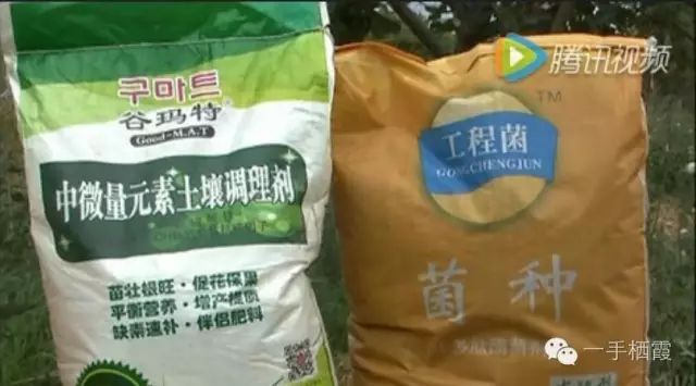 减肥补硒好还是补钠好