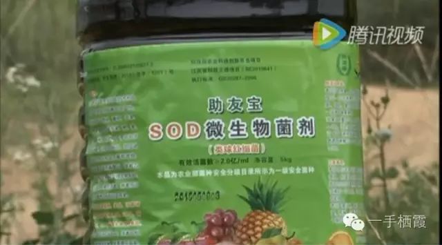 减肥补硒好还是补钠好