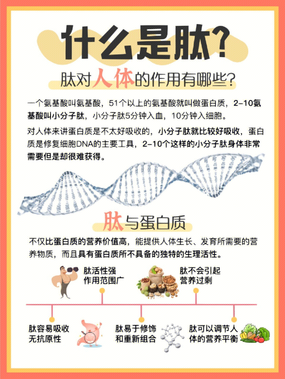 补肽和补硒哪个最重要