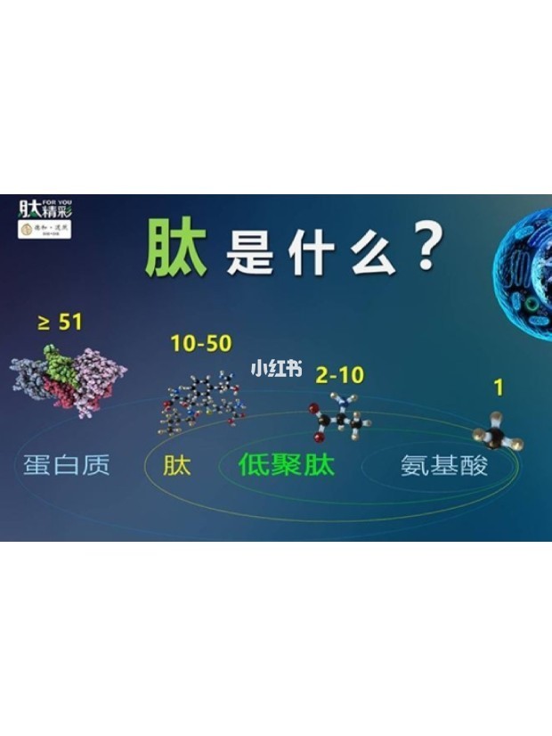 补肽和补硒哪个最重要