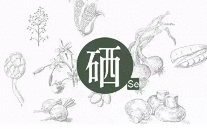 澳洲补硒元素含量多少