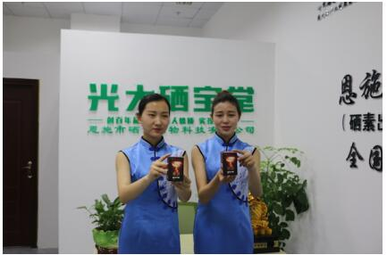 科学补硒主题活动计划
