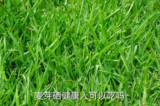 麦芽硒健康人可以吃吗