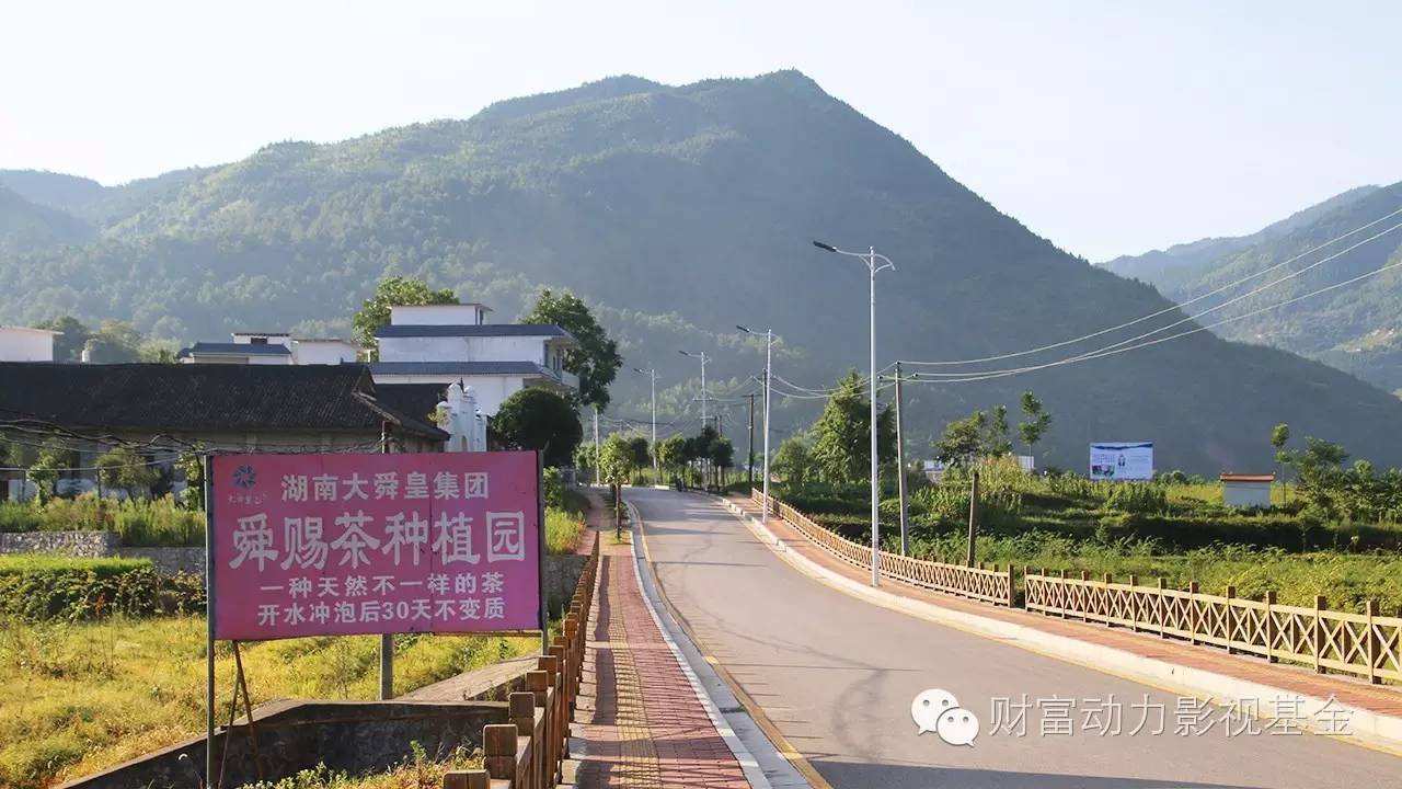 白癜风需要补硒的药物