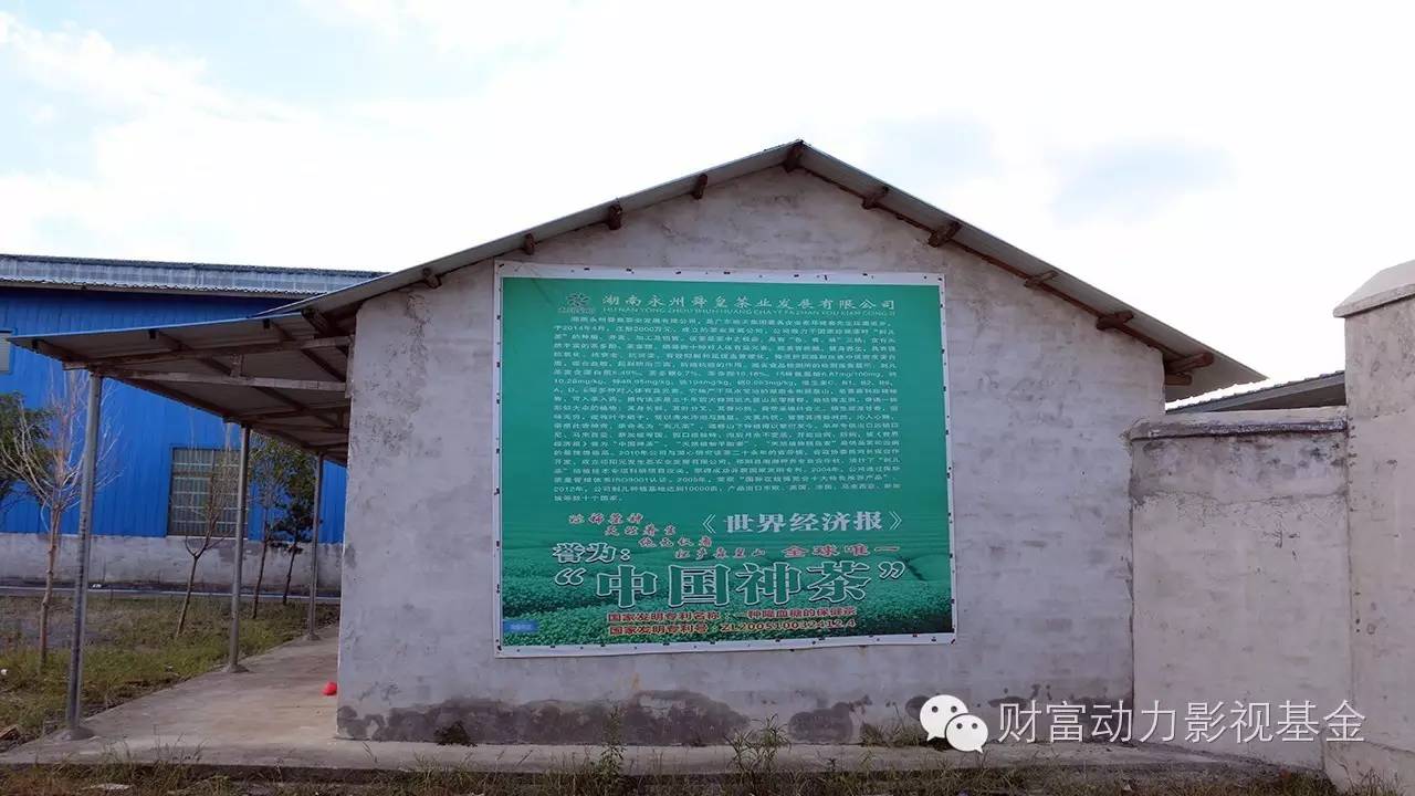 白癜风需要补硒的药物