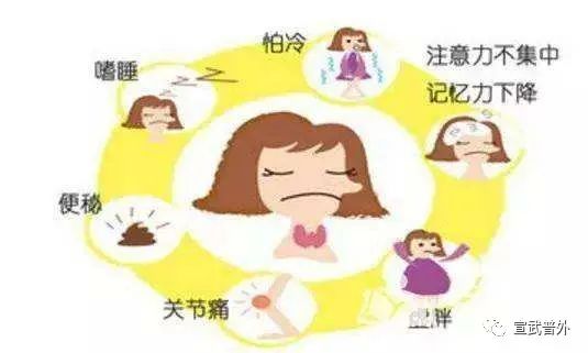 初识桥本甲状腺炎