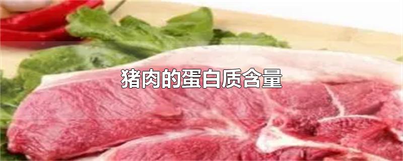 儿童哪些食物可以补硒
