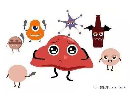心肌衰竭的人怎么补硒