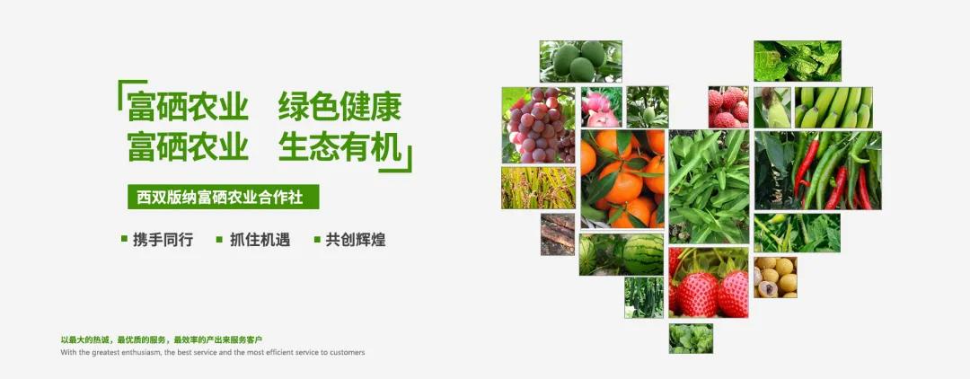 如何正确选择补硒产品