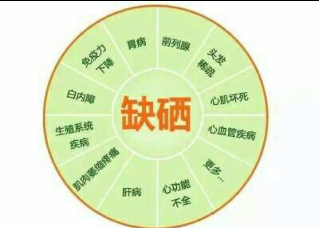 成人每天补硒多少微克
