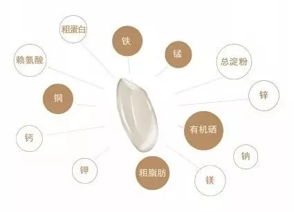 乙肝每天补多少硒元素