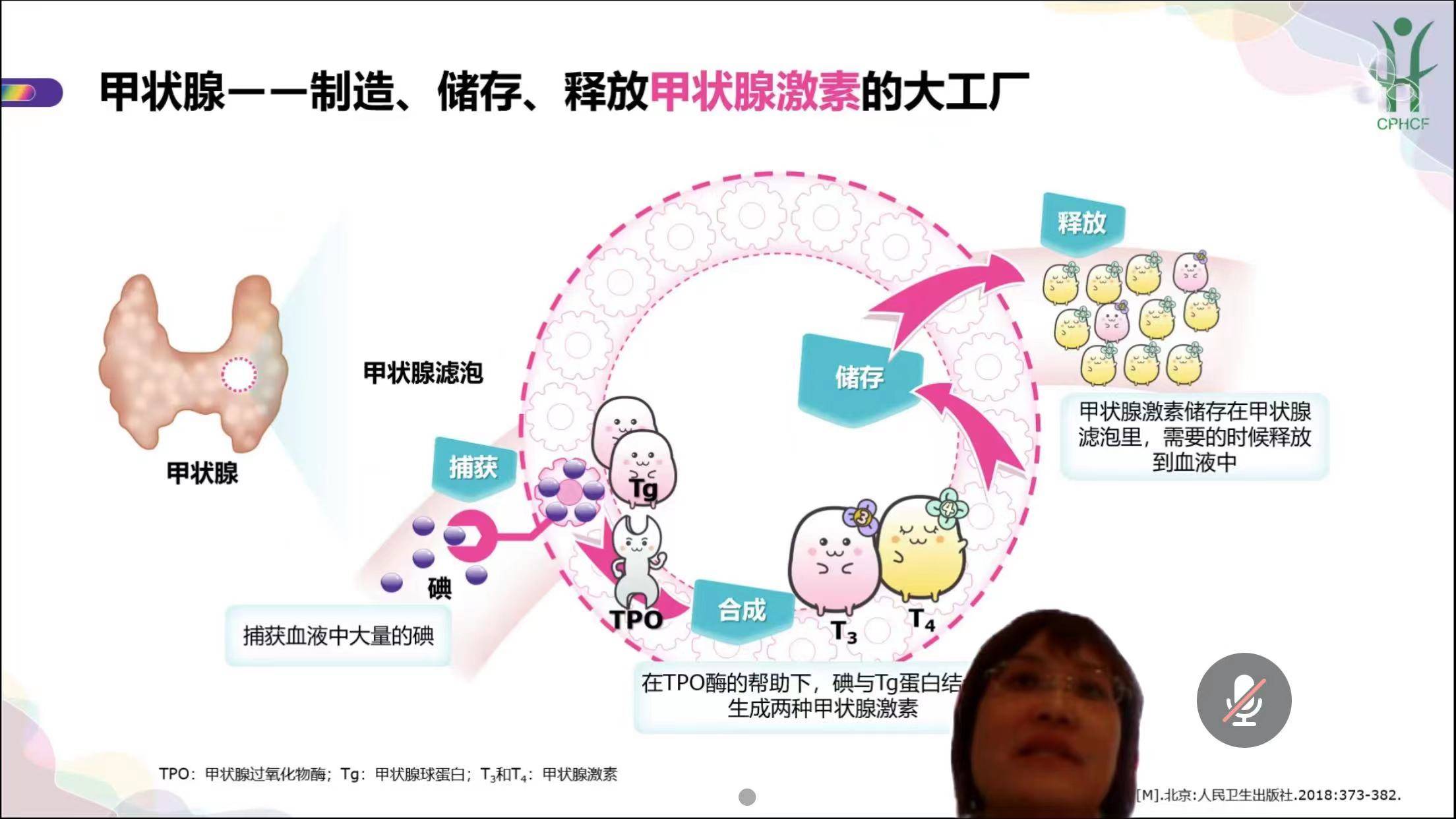 桥本患者怎么补硒食物