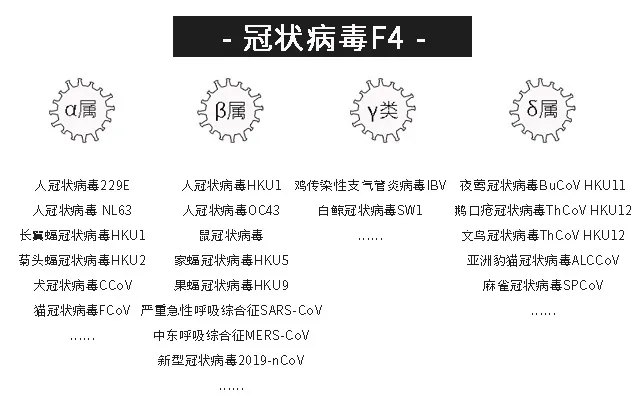 补硒产品都有哪些牌子