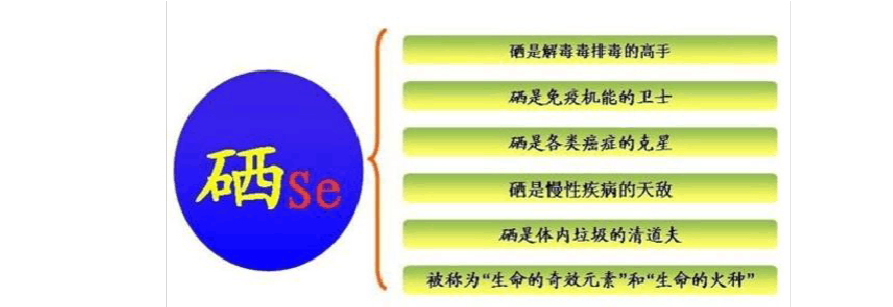 我们应该如何科学补硒