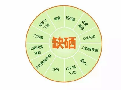 小孩补硒什么时候最好