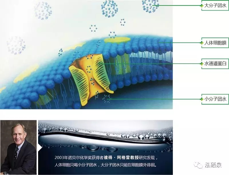补硒可以提高ph值吗