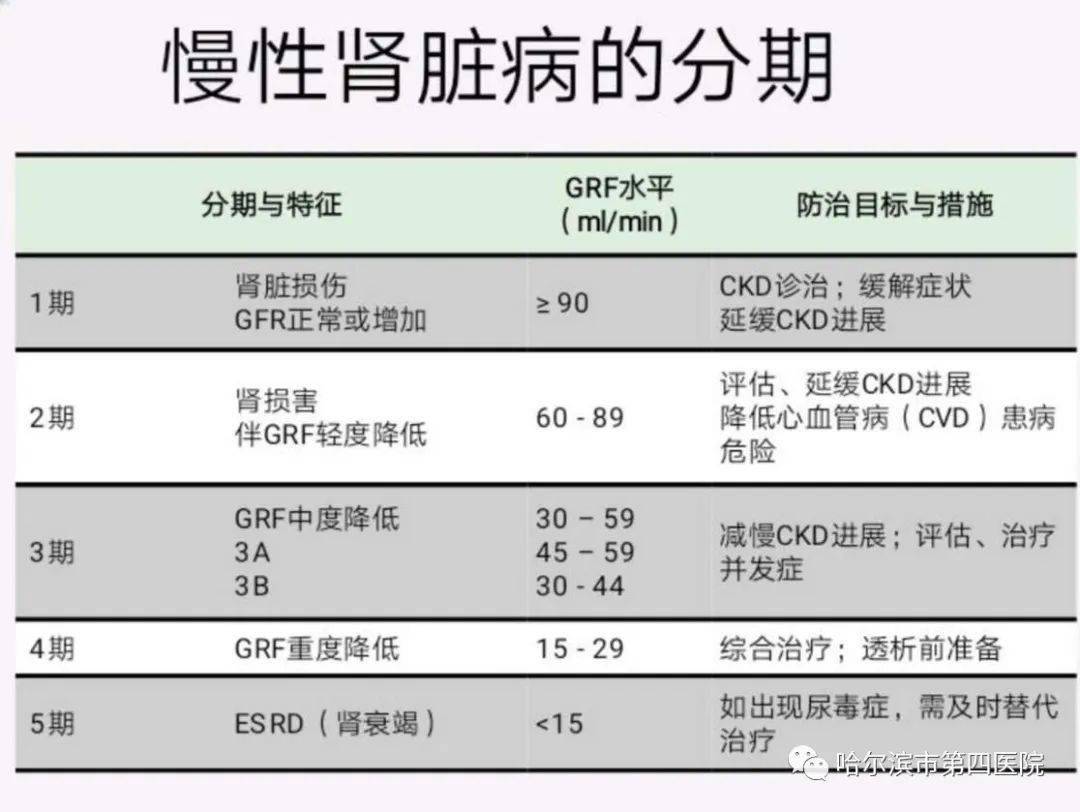 补硒会加重肾脏负担吗