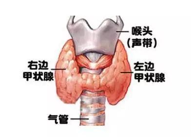 眼睛肿可以补硒吗女性