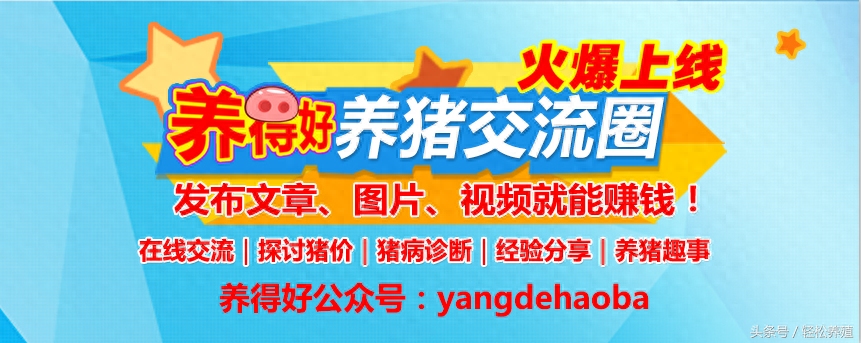 仔猪出生后需要补硒吗