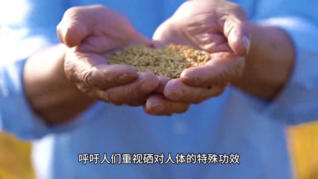 每日补硒安全量是多少