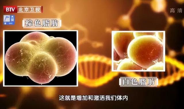 血脂异常还可以补硒吗