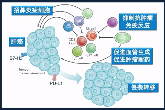 长年补硒的作用与功效