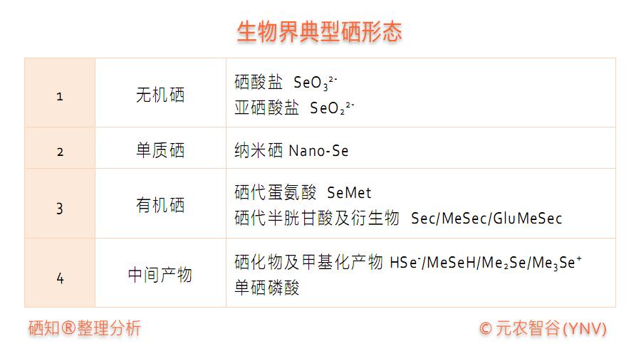怎样补硒更健康更有效