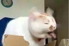 备孕男性每天补多少硒