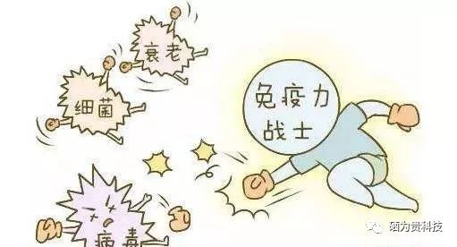 人体补硒应该补多大量