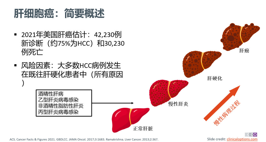 为什么补硒提高红细胞