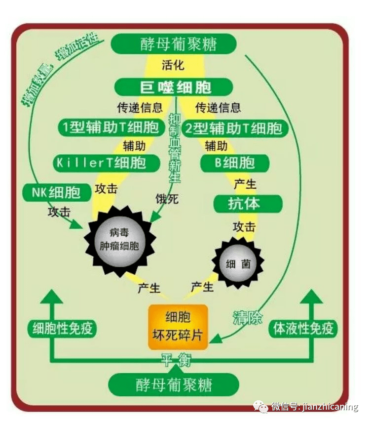 补硒能延缓面部衰老吗