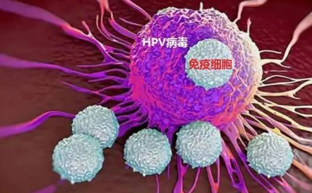 治疗hpv补硒有用吗