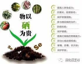 检查硒是轻度需要补吗