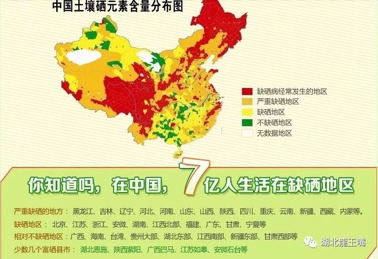 检查硒是轻度需要补吗