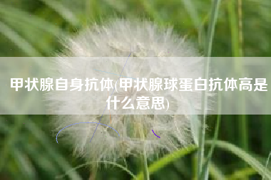 甲状腺自身抗体(甲状腺球蛋白抗体高是什么意思)